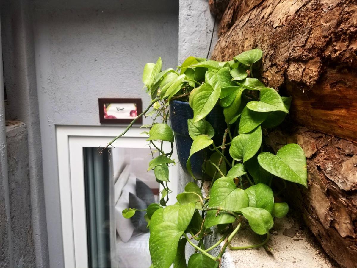 Apartamento Ribe'S House Dalat Exterior foto