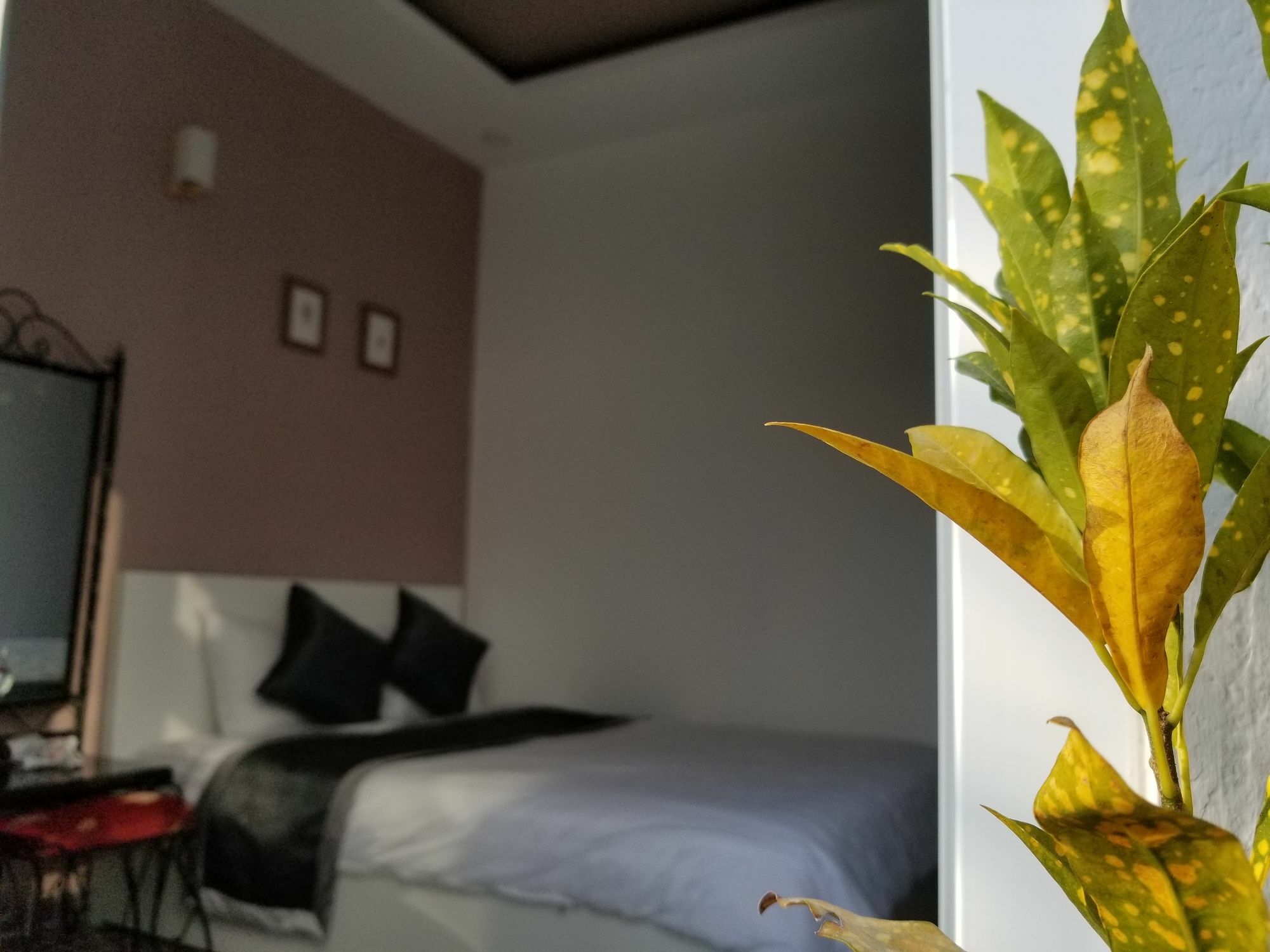 Apartamento Ribe'S House Dalat Exterior foto