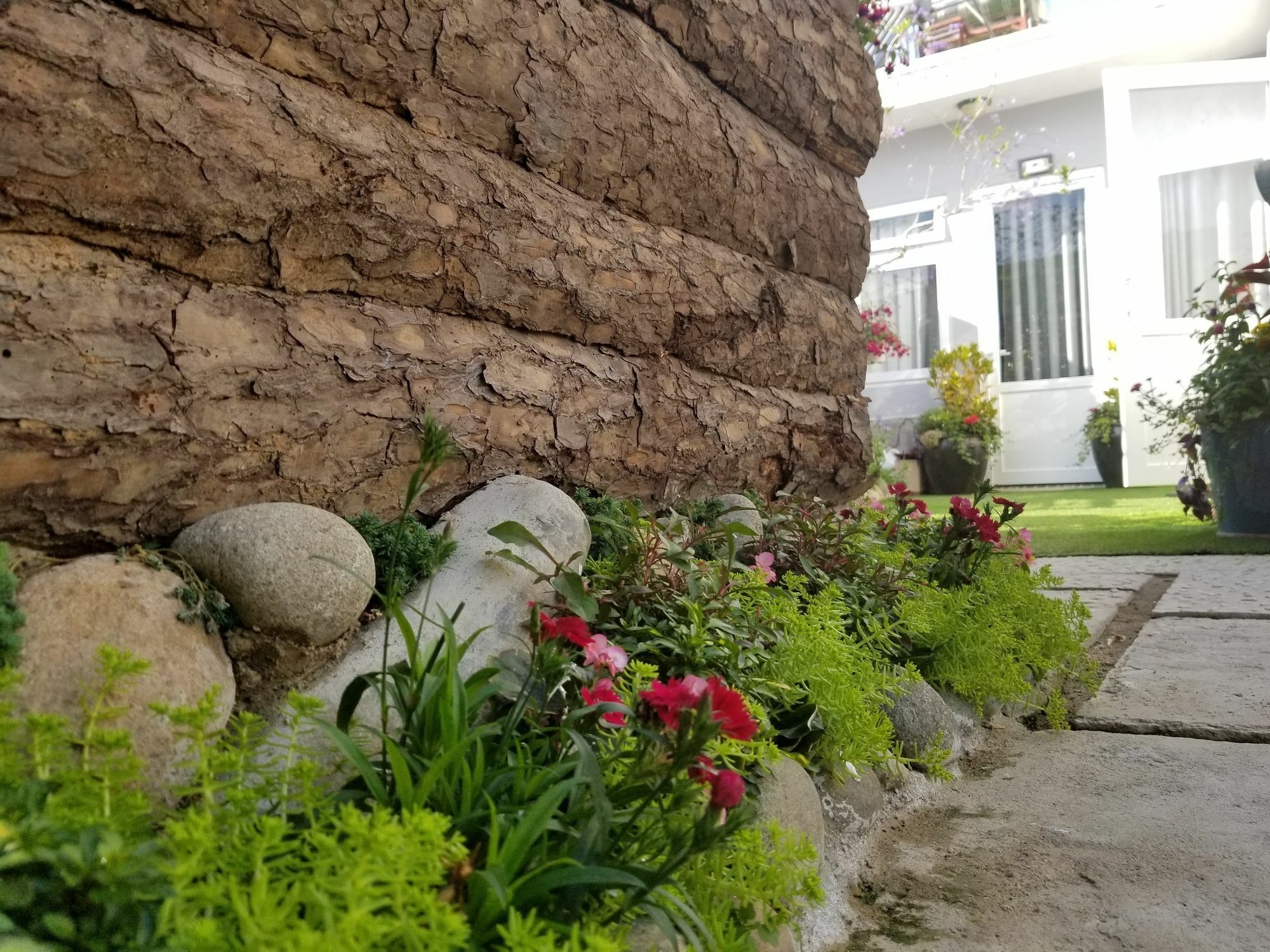 Apartamento Ribe'S House Dalat Exterior foto